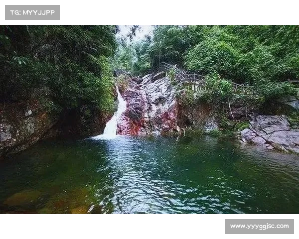 鹤观岛秘境探险全攻略:深度体验自然美景与奇妙生态之旅 鹤观岛秘境探险全攻略:深度体验自然美景与奇妙生态之旅