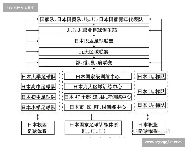 中国足球崛起的四大关键因素：政策引导青训体系改革投资提升与国际化发展