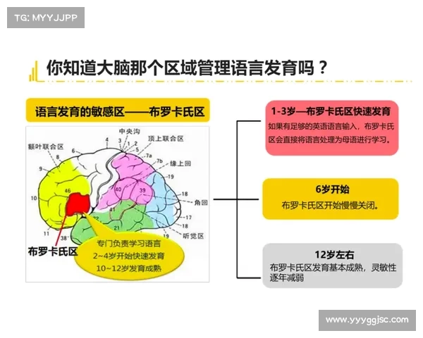 如何系统学习巴舒亚伊的母语知识并有效提高语言能力